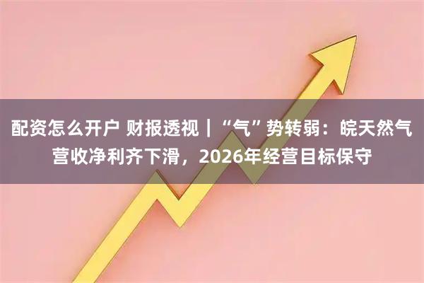 配资怎么开户 财报透视｜“气”势转弱：皖天然气营收净利齐下滑，2026年经营目标保守